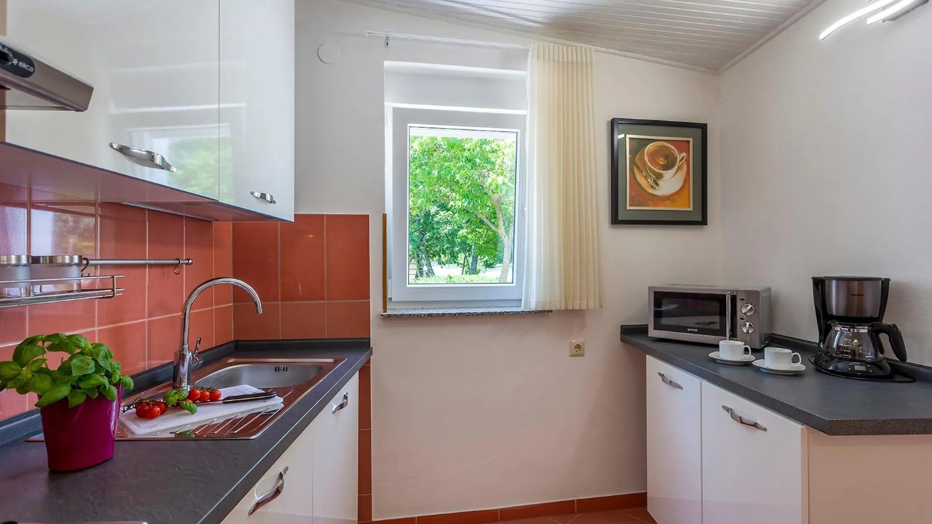 Elegant Villa With Private Pool And Stunning Garden In The Picturesque Village Of Brhanici Svetvinčenat 度假居